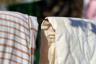 佳能 EF 50mm f/1.8 II 試鏡體驗與針織品原料拍攝學(xué)習(xí)